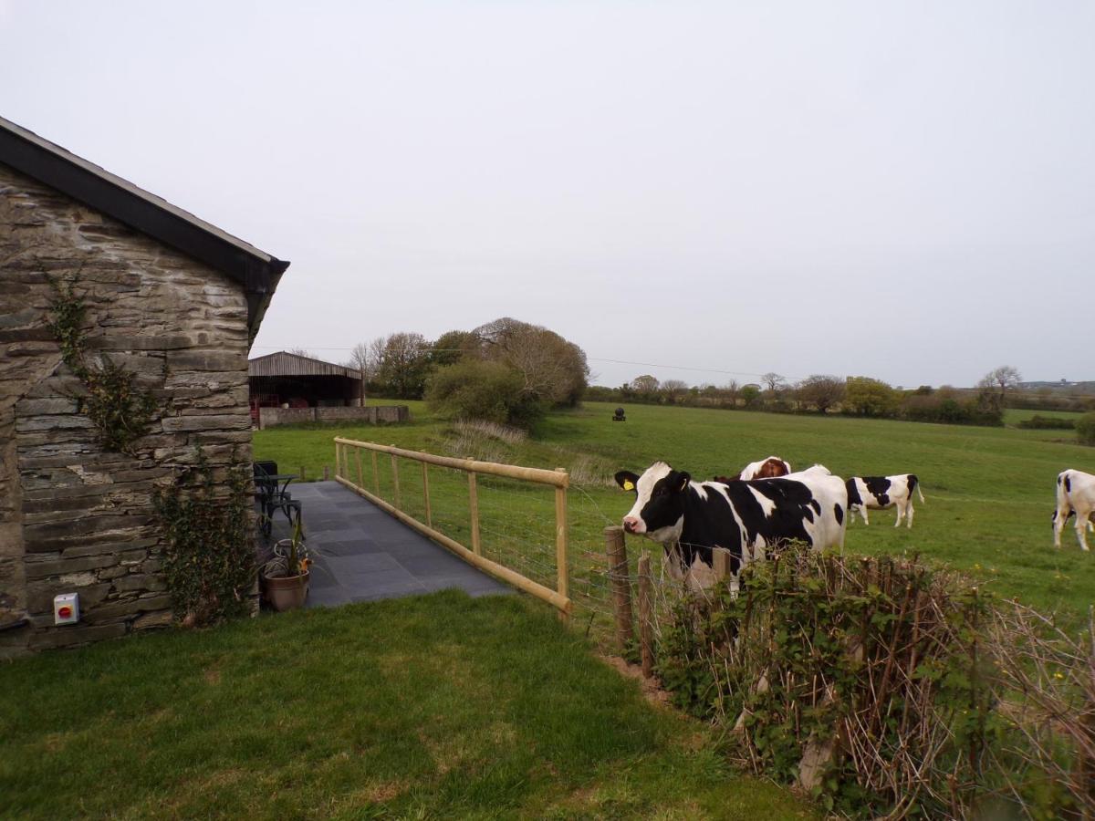 Detached Barn With Valley Views Near Cardigan Villa Buitenkant foto